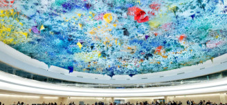 UN Human Rights Council 