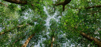 ICCEP 2025: Climate & Environment Conference