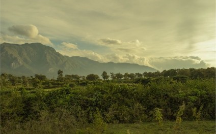 Conference on Climate Change and Environmental Protection